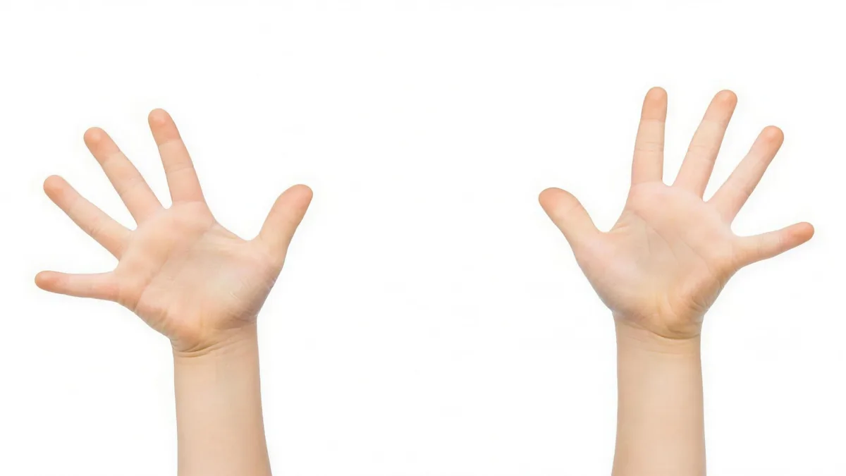 Fingerschutz an einer Tür eines Raummoduls
